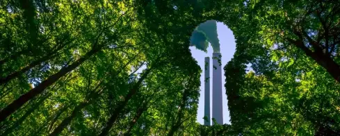 Il nuovo volto della sostenibilità